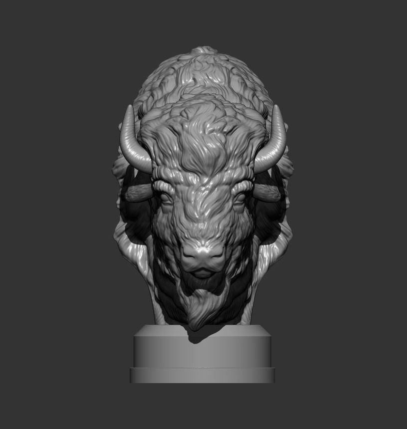 Bison bust 3D print model_6