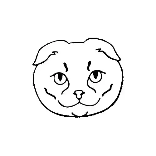 Scottish Fold Cookie Cutter