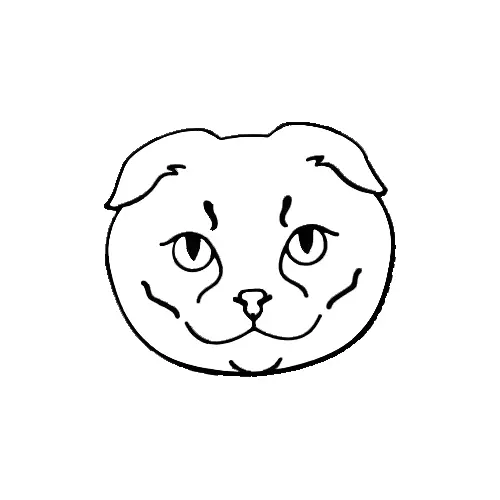 Scottish Fold Cookie Cutter 3D print model_0