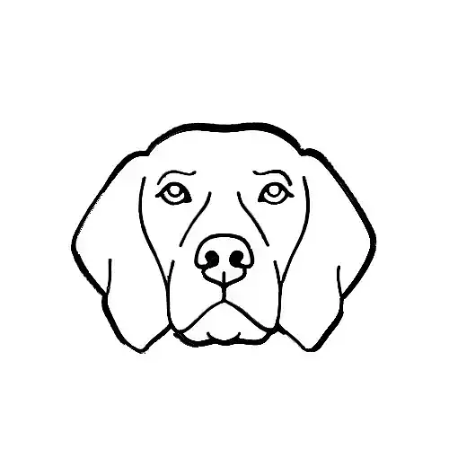 Vizsla Dog  Cookie Cutter