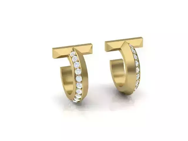 T earrings