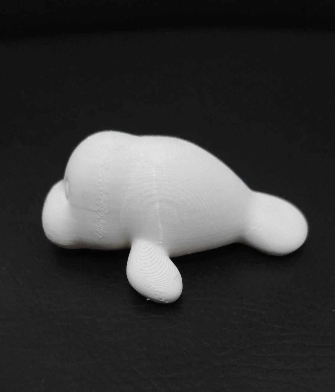 Manatee 3D print model_6