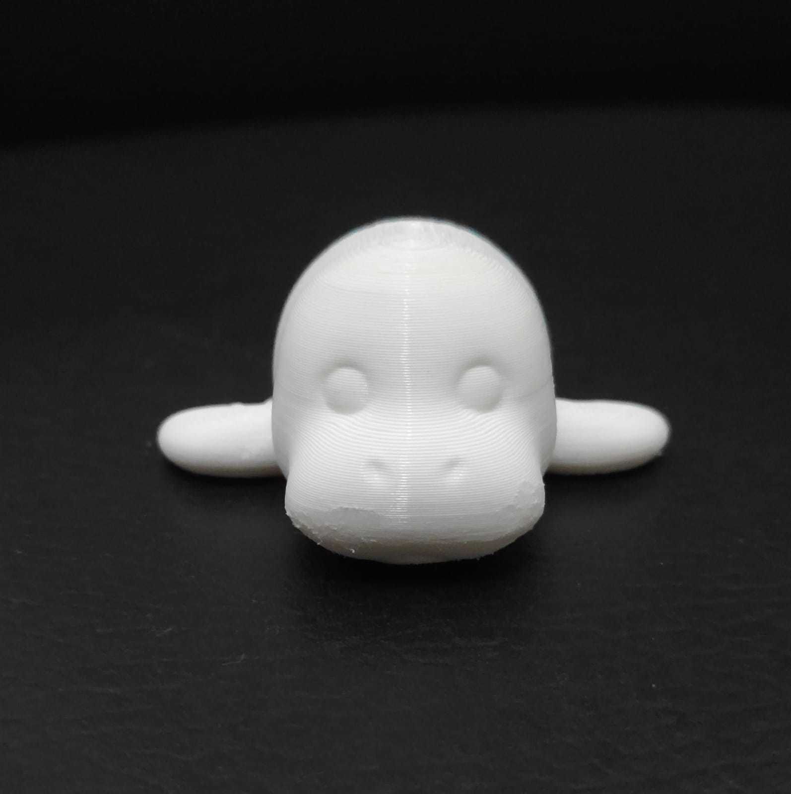 Manatee 3D print model_5