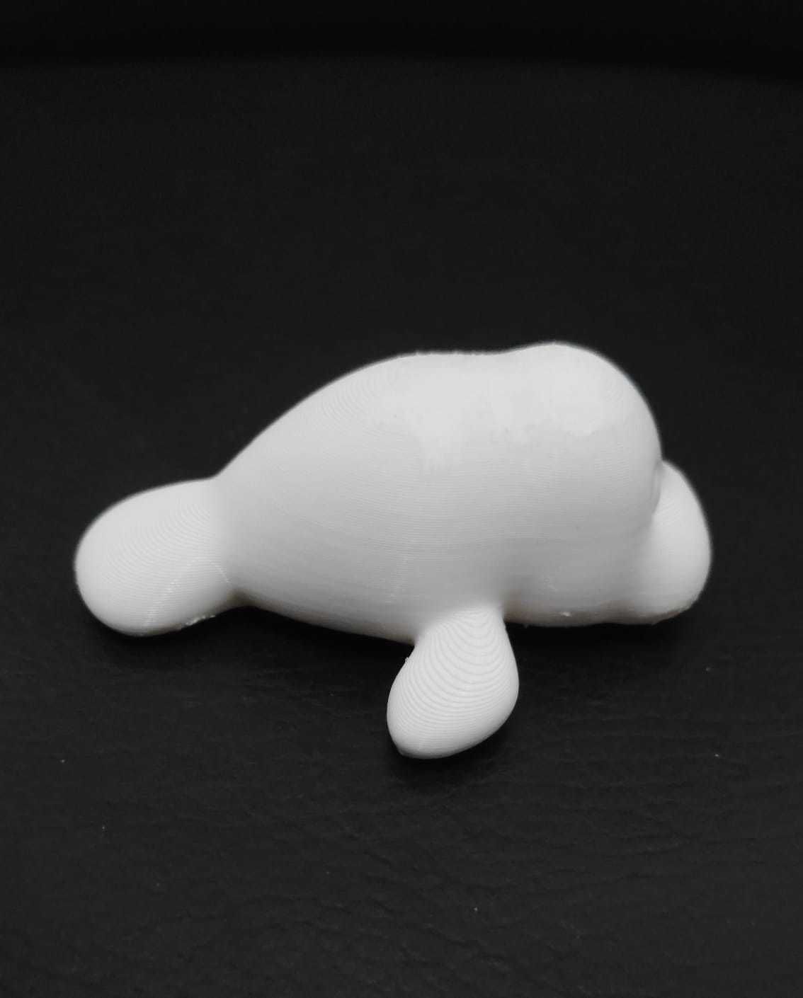 Manatee 3D print model_10