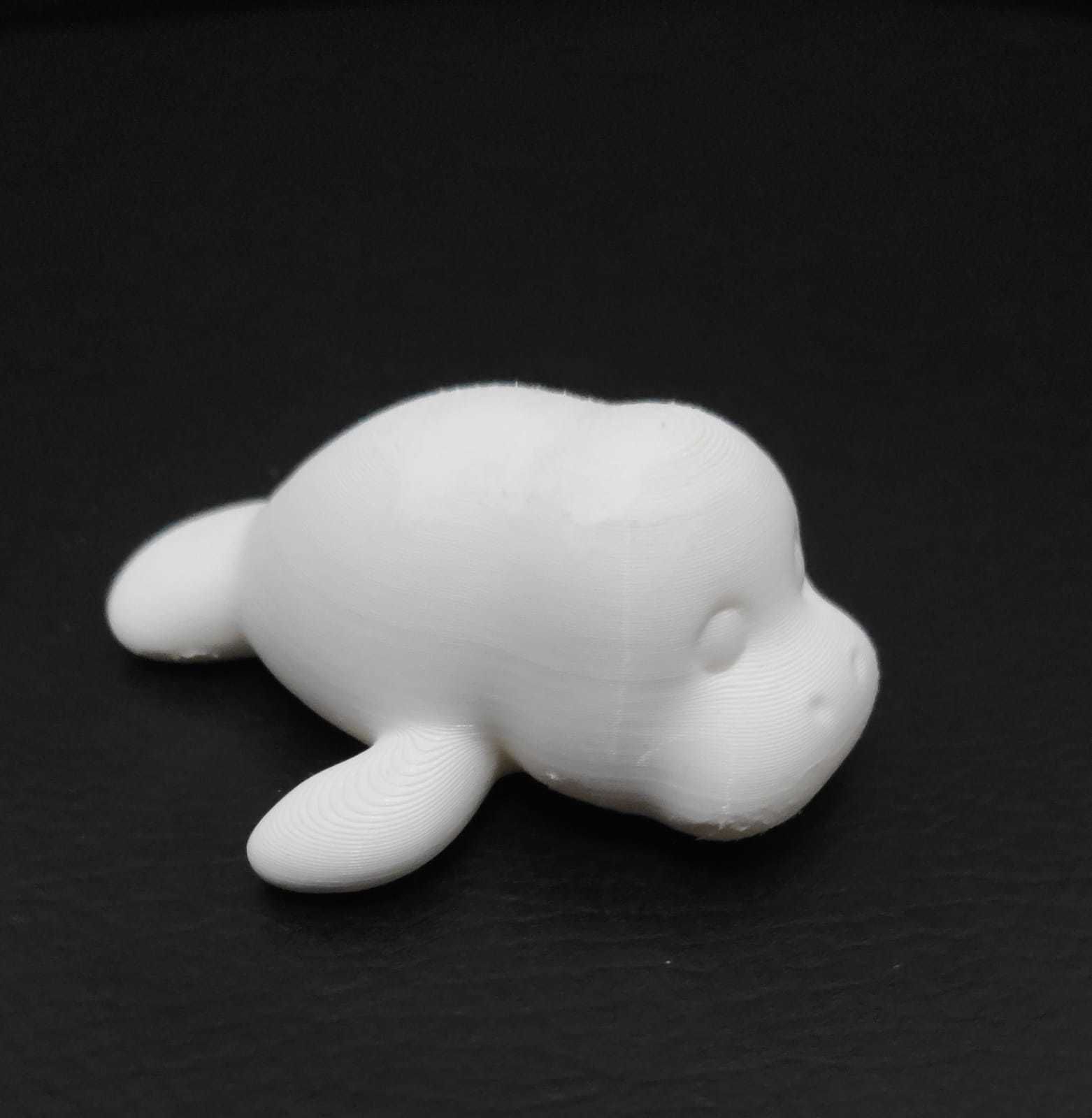 Manatee 3D print model_11