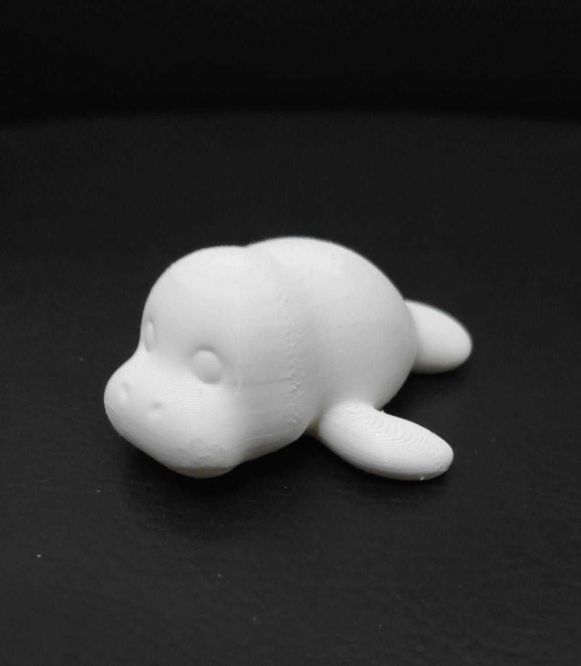 Manatee 3D print model_4