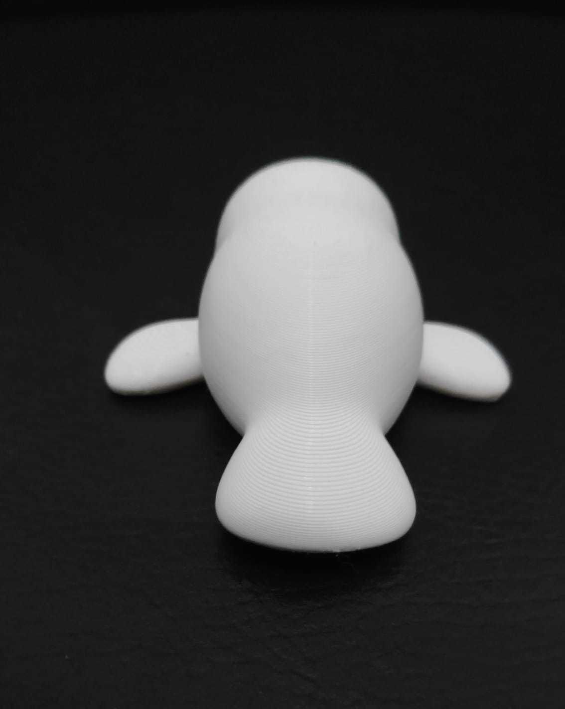 Manatee 3D print model_8