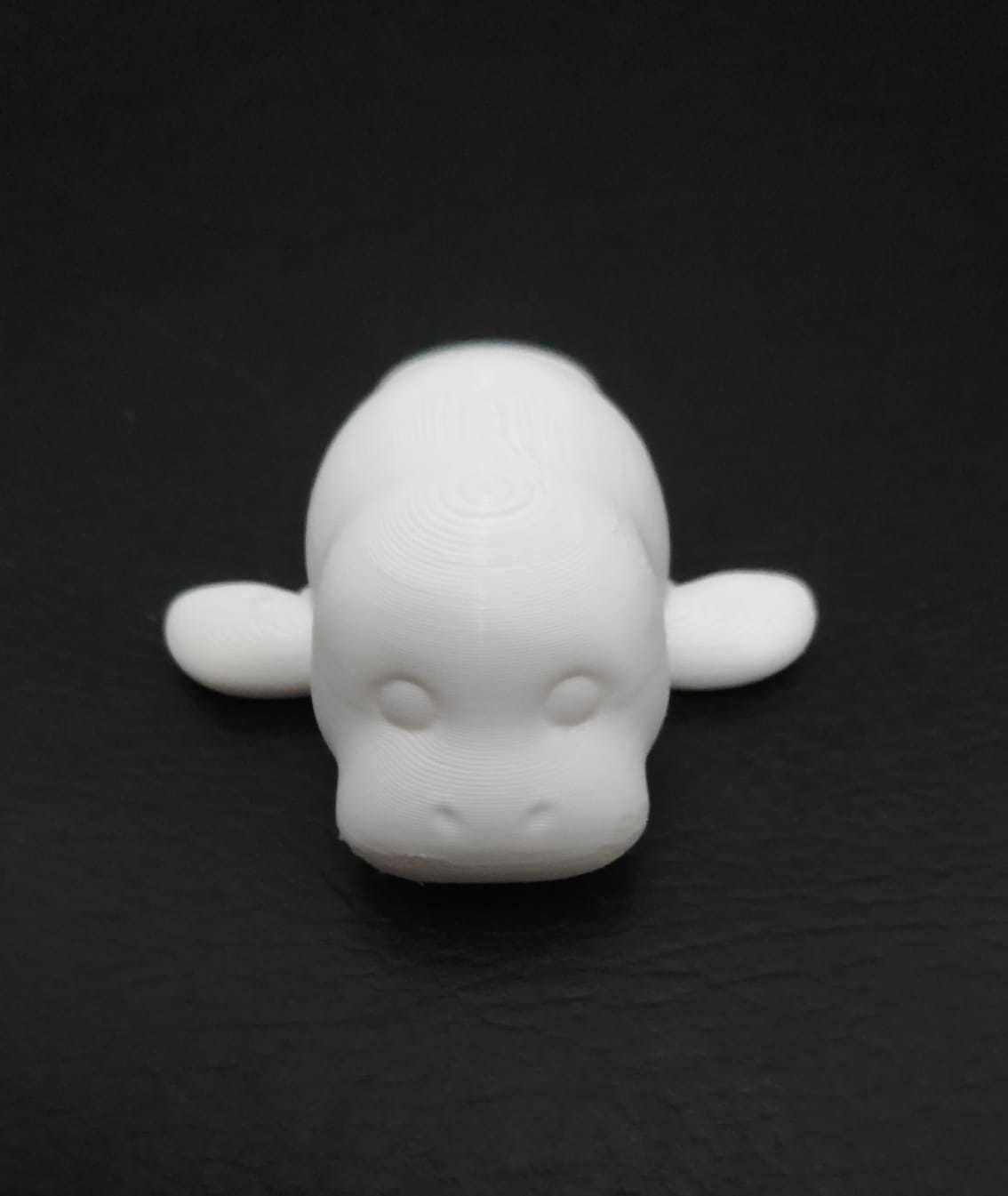 Manatee 3D print model_13