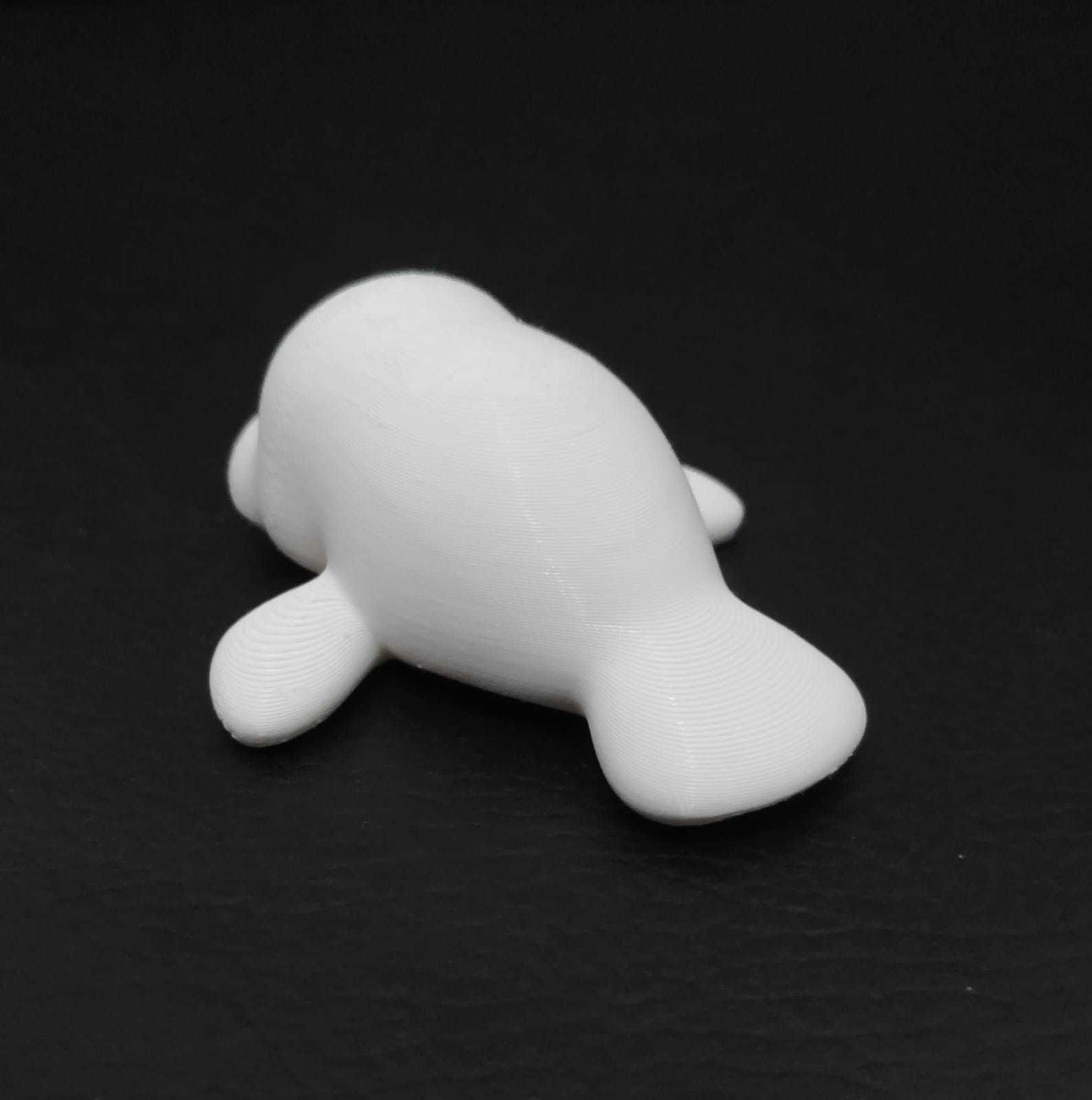Manatee 3D print model_7