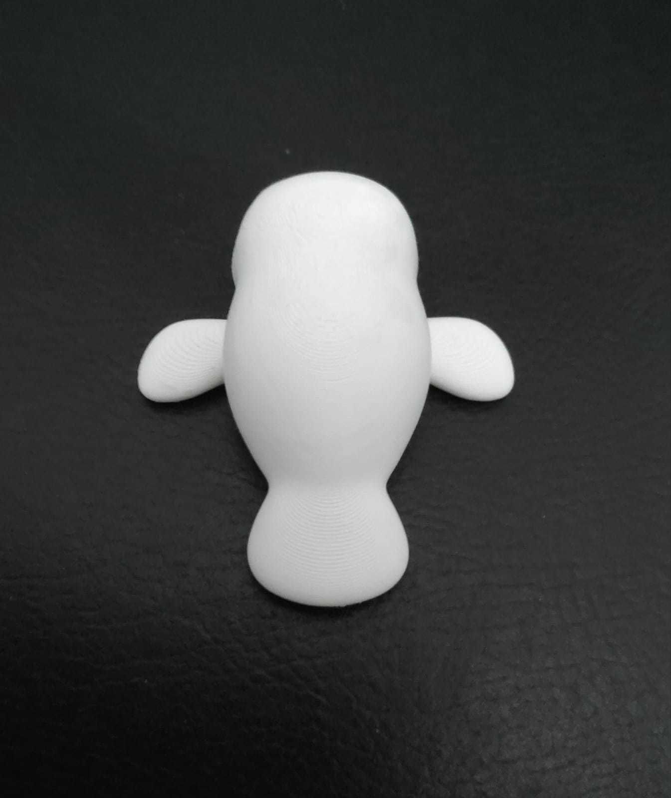 Manatee 3D print model_9
