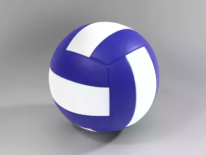 Volleyball Ball