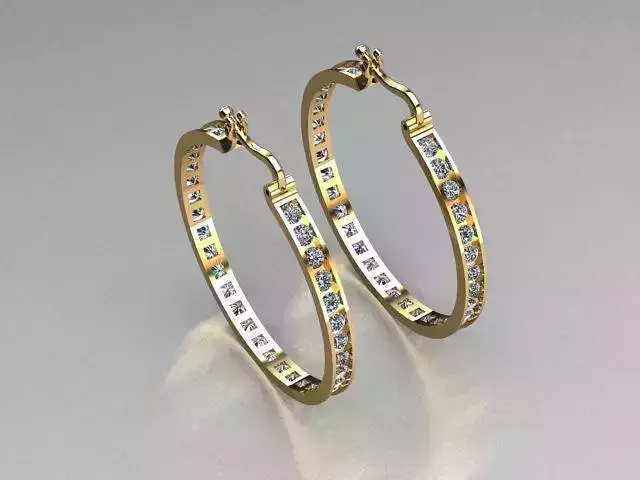 jewelry earrings in size 31