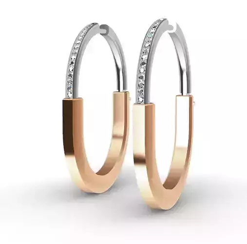 Earrings  Tiffany Lock 