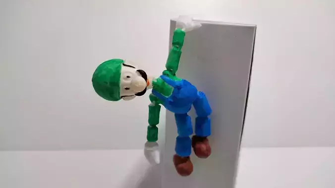 FLEXI LUIGI 