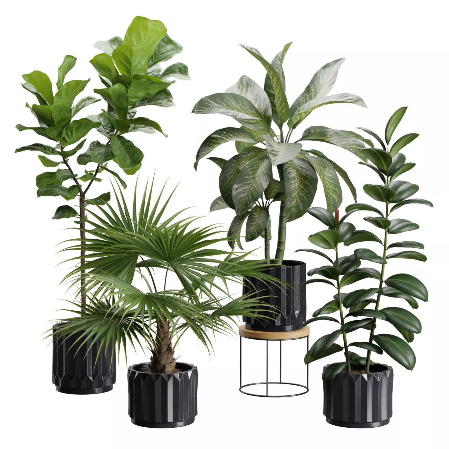Indoor Plants Pack 45 3D model_0