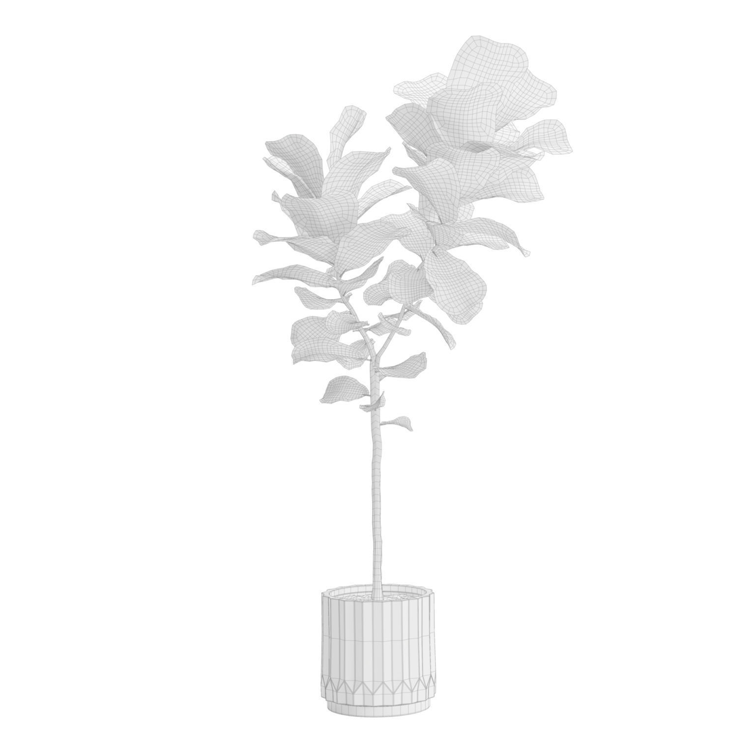 Indoor Plants Pack 45 3D model_10