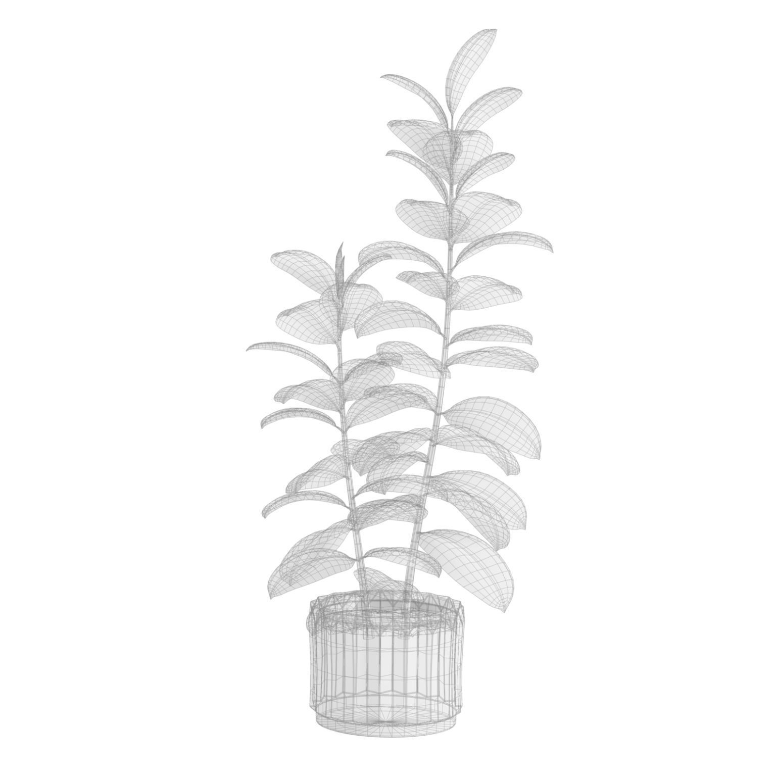 Indoor Plants Pack 45 3D model_8