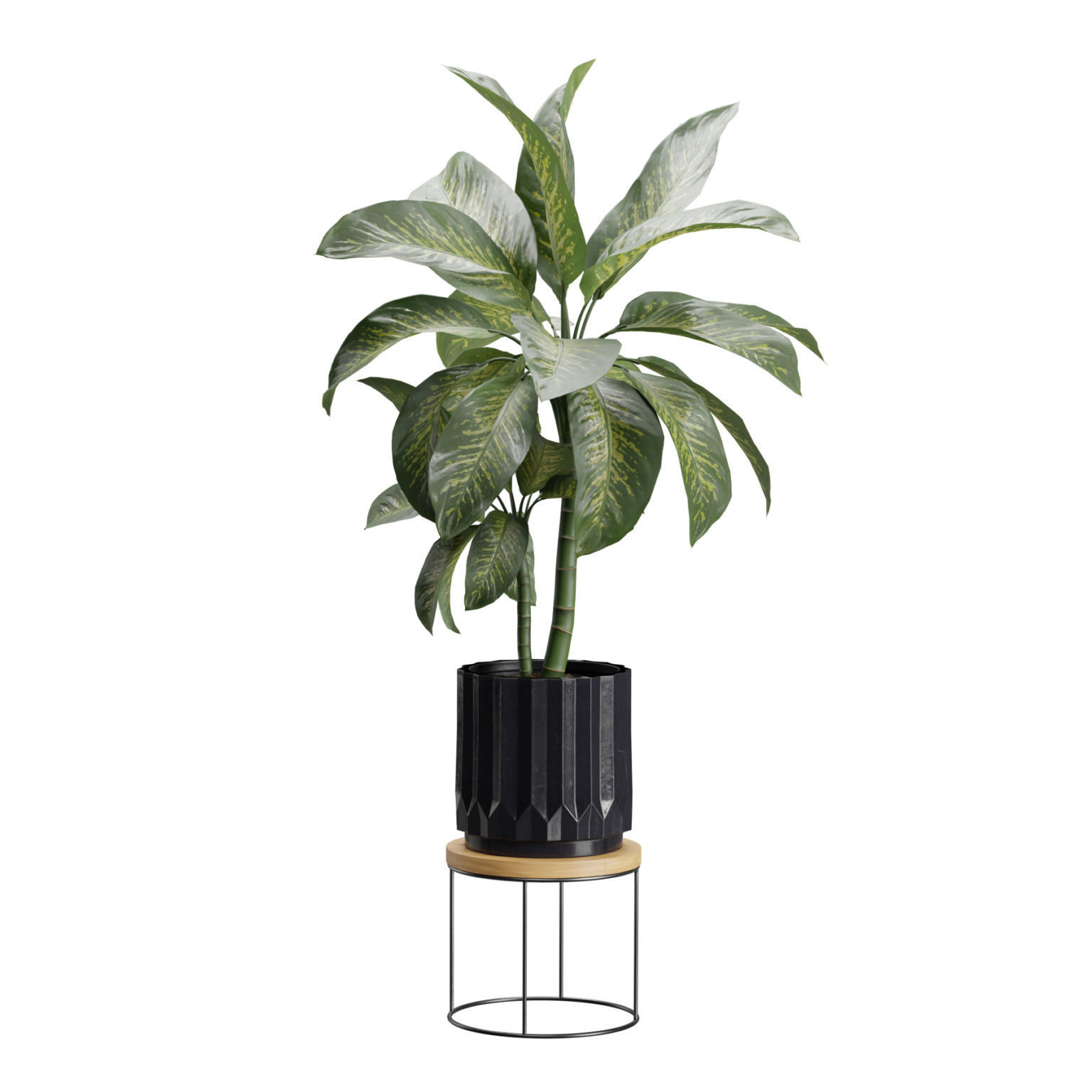 Indoor Plants Pack 45 3D model_5