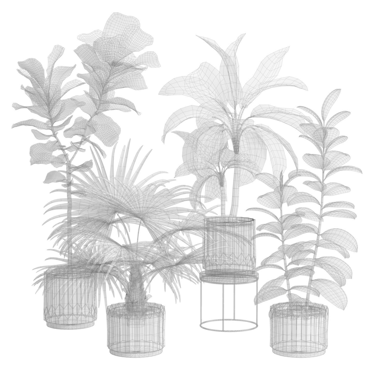 Indoor Plants Pack 45 3D model_2