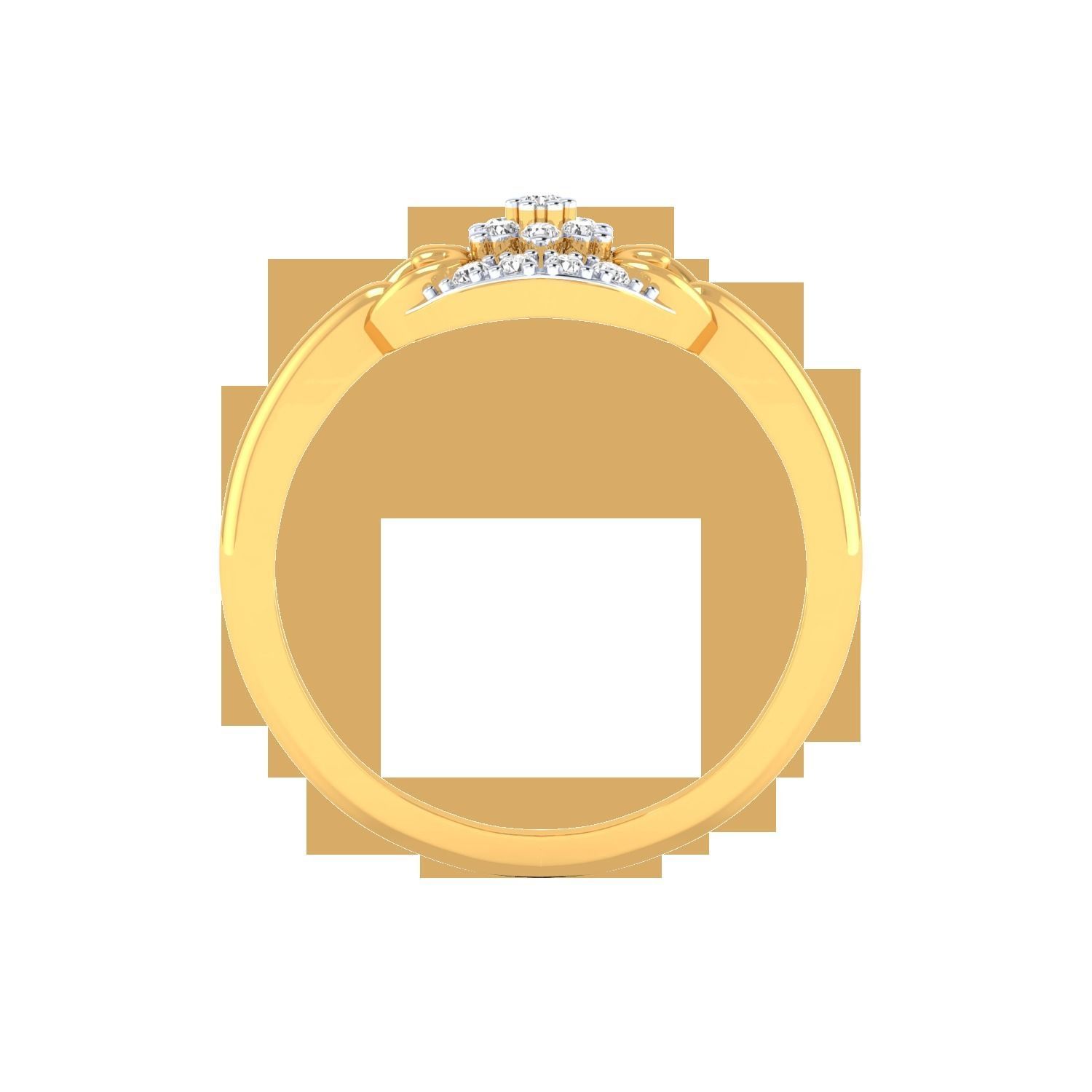 Women Rings STL OBJ FBX Renders Details 3D print model_23