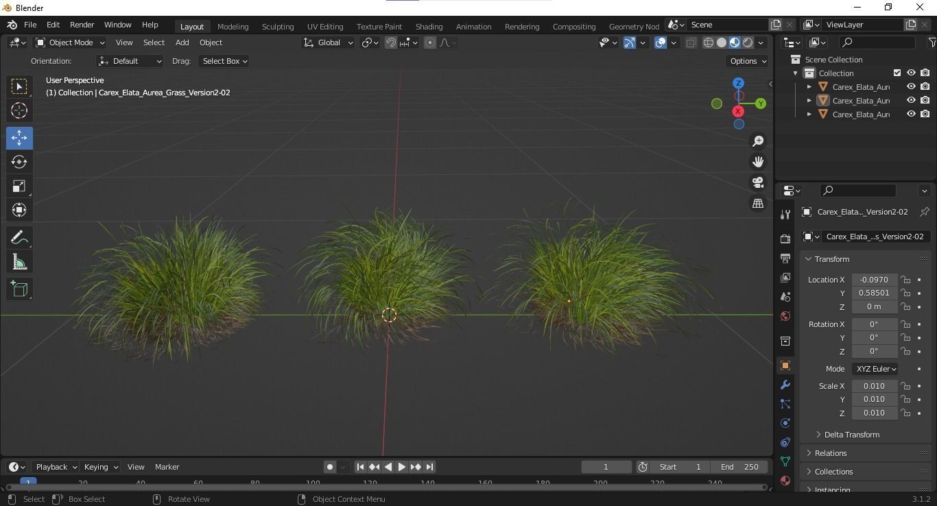 Plants Carex Elata Aurea Grass Version2 3D model_6