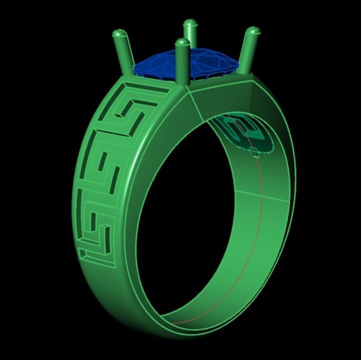 Ring pl5 3D print model_11