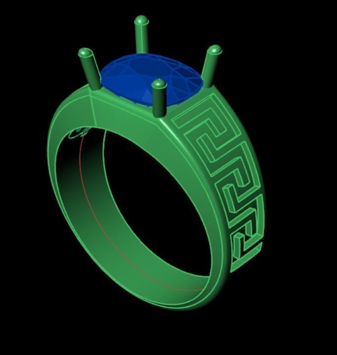 Ring pl5 3D print model_8