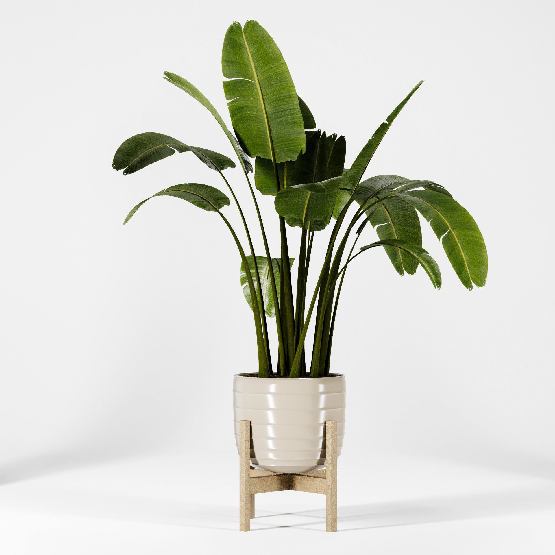 Plant Collection 06 3D model_5