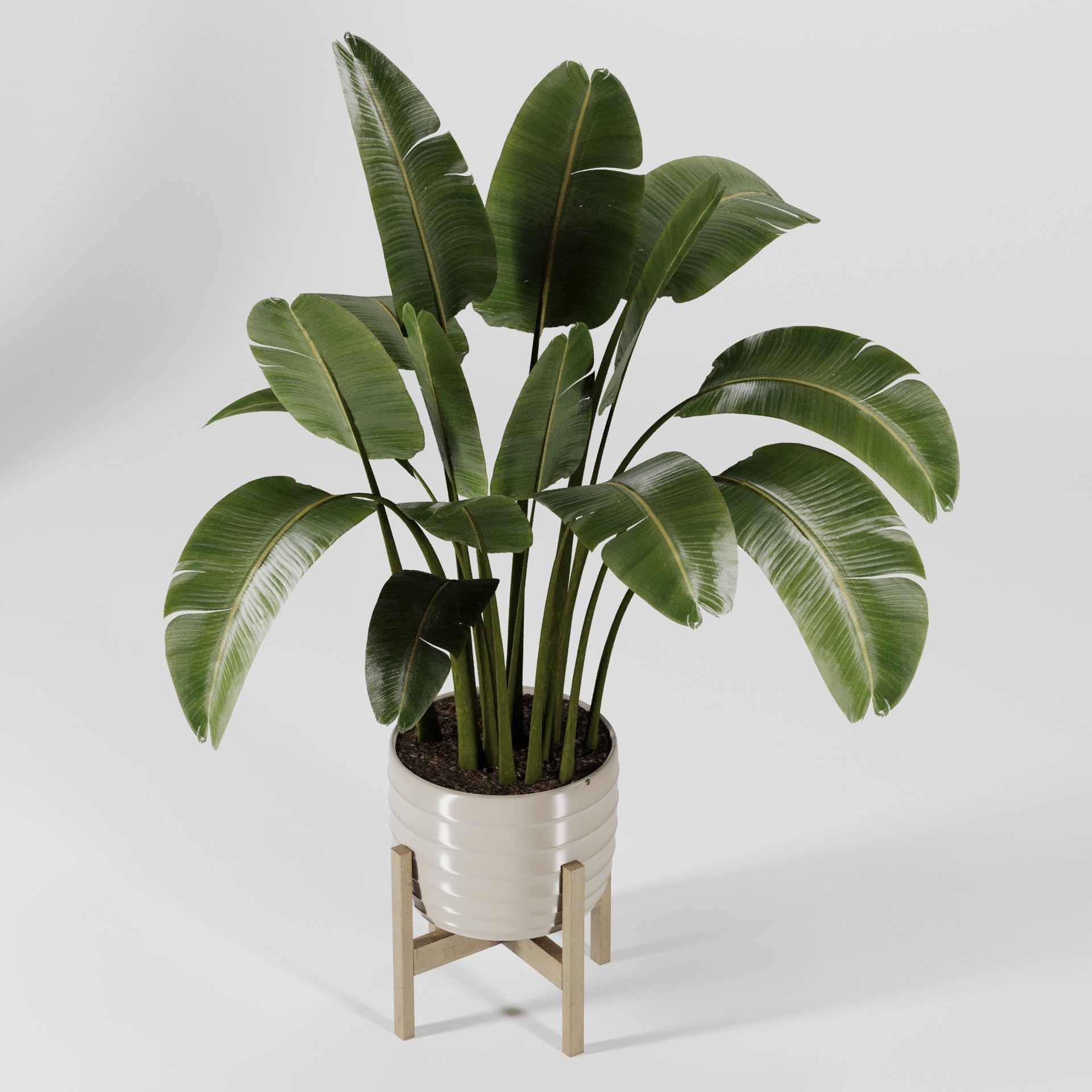 Plant Collection 06 3D model_11