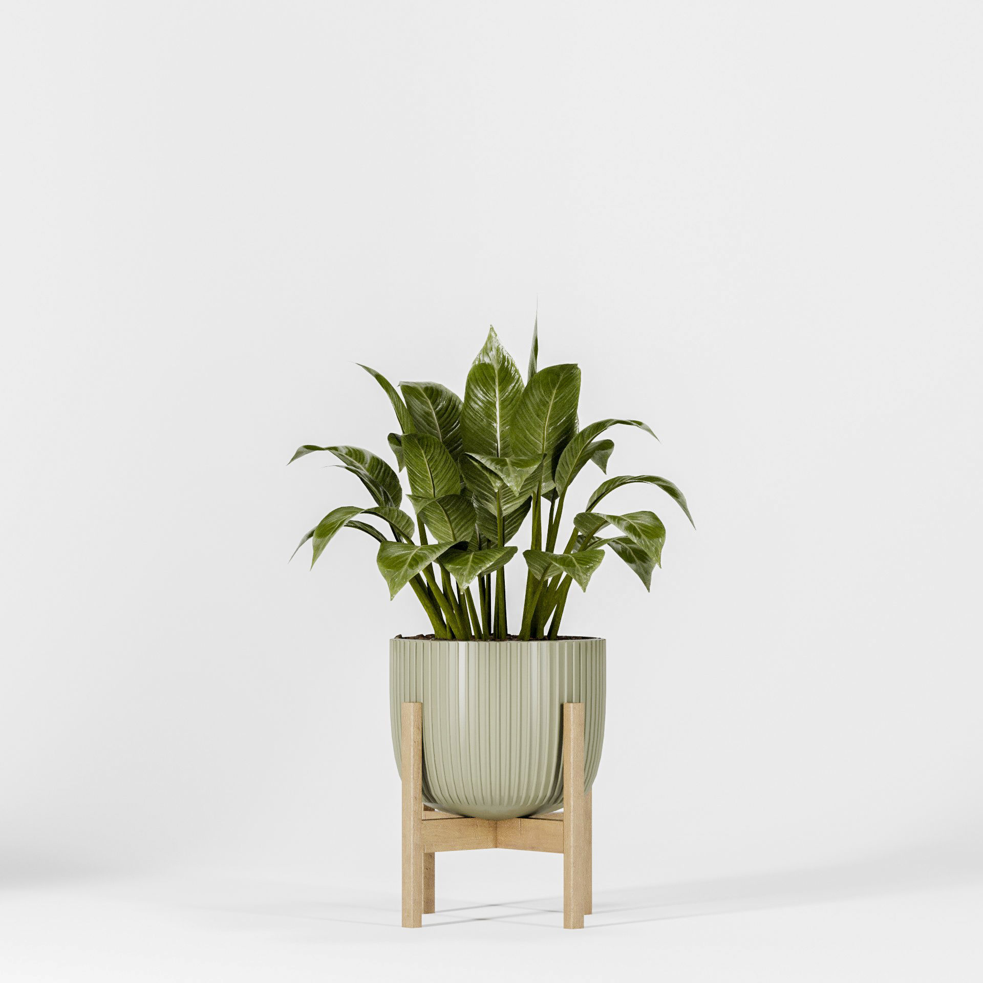 Plant Collection 06 3D model_7