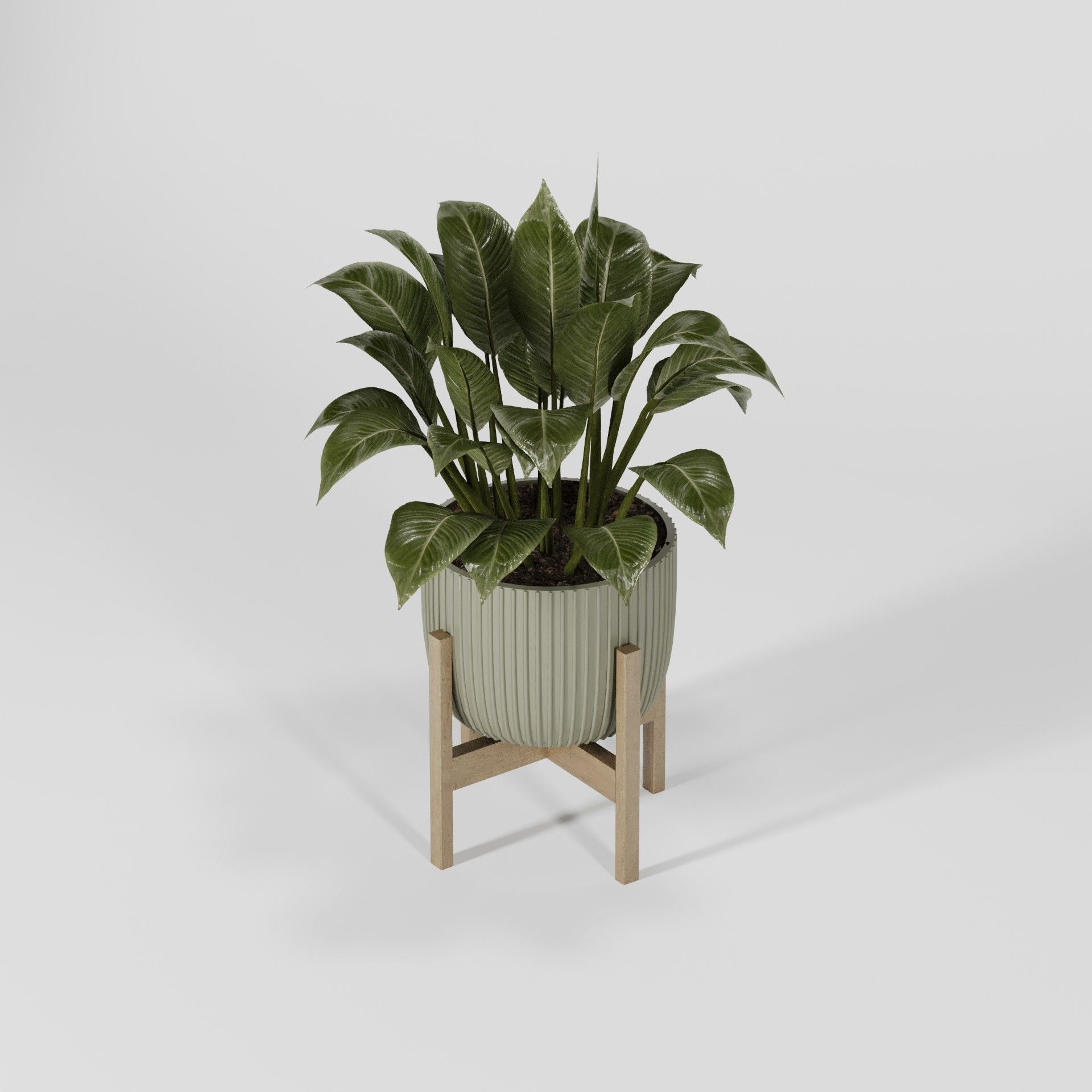 Plant Collection 06 3D model_10