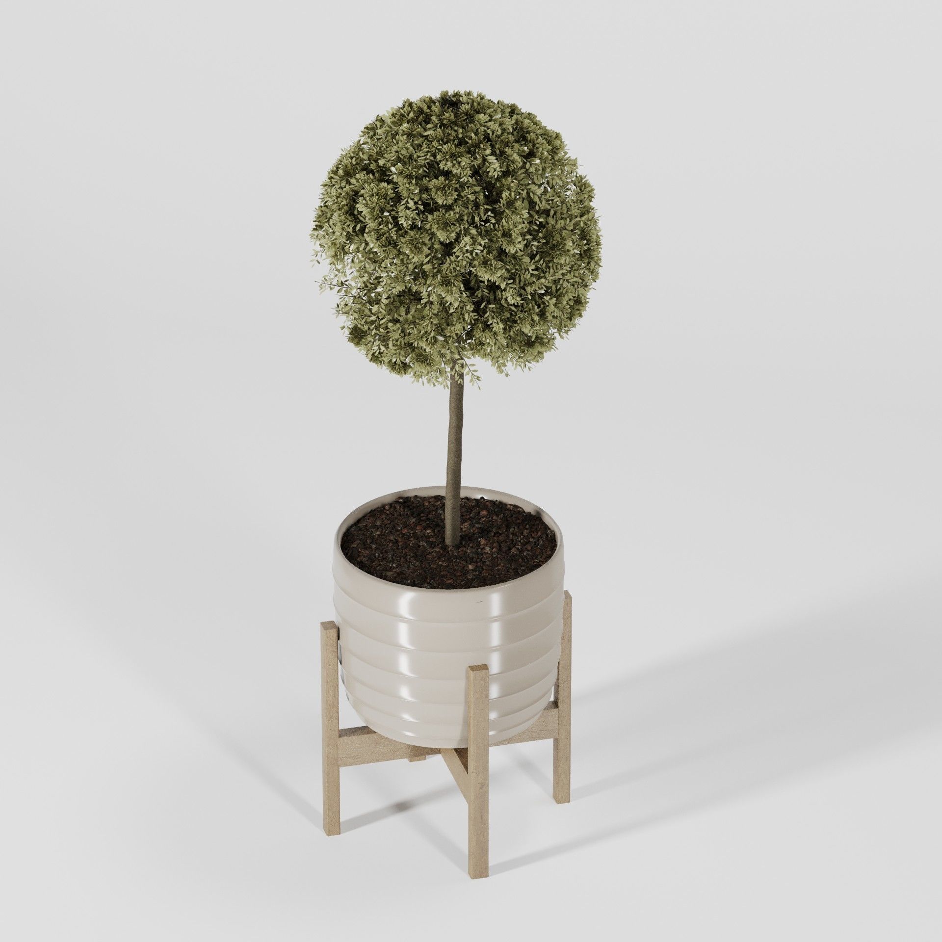 Plant Collection 06 3D model_9