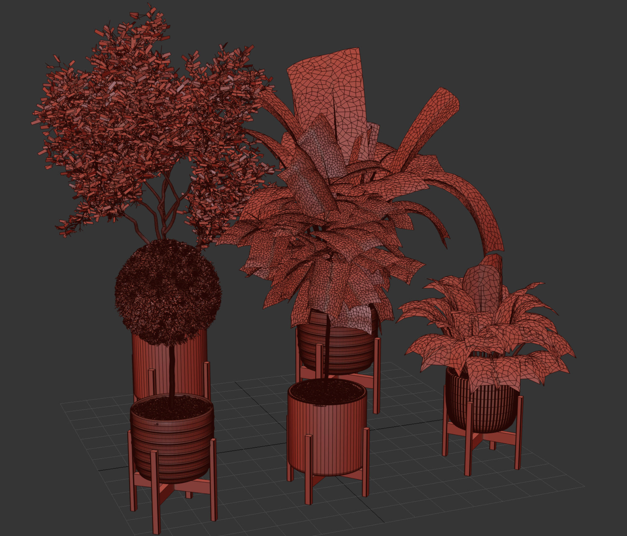 Plant Collection 06 3D model_19