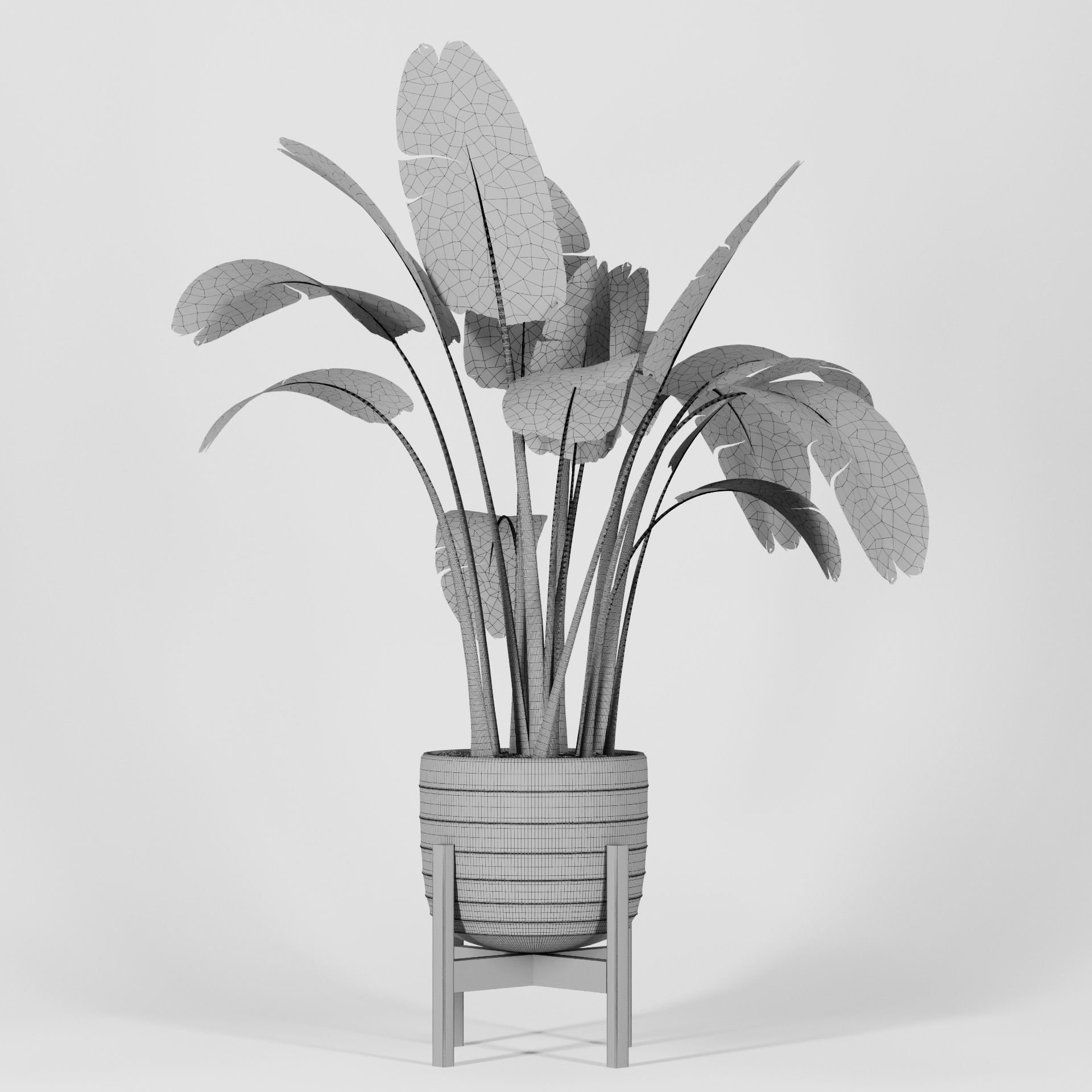 Plant Collection 06 3D model_17