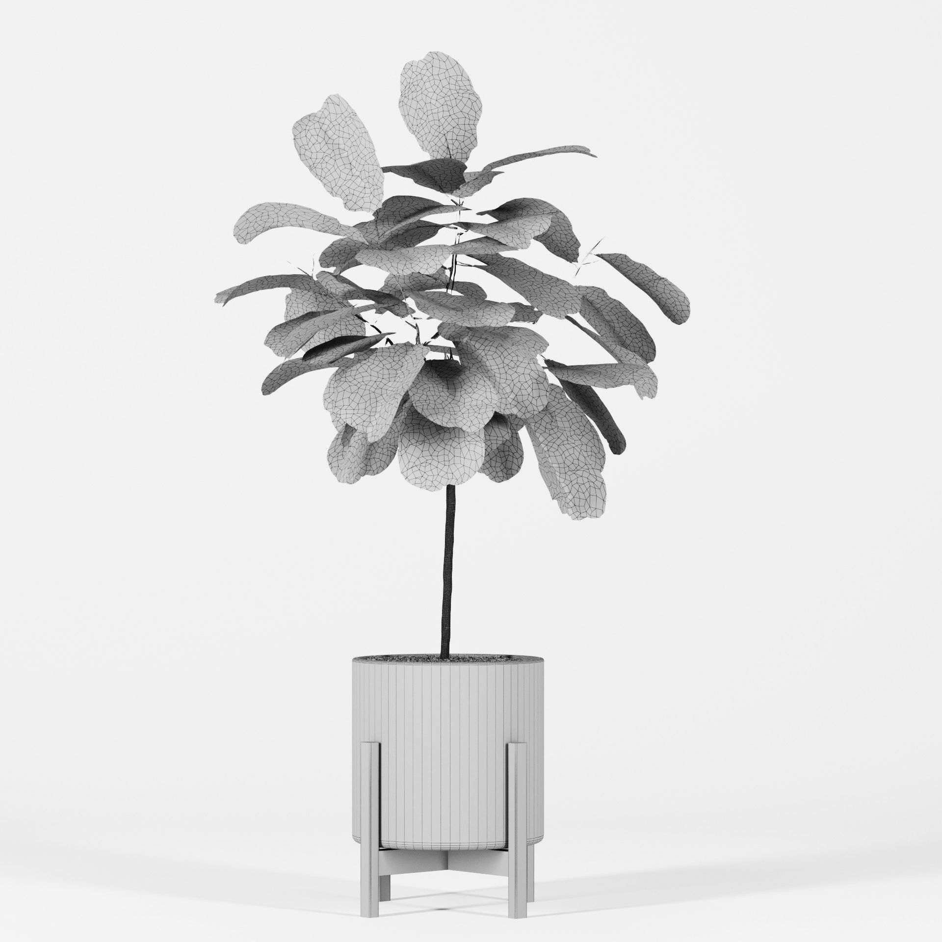 Plant Collection 06 3D model_16