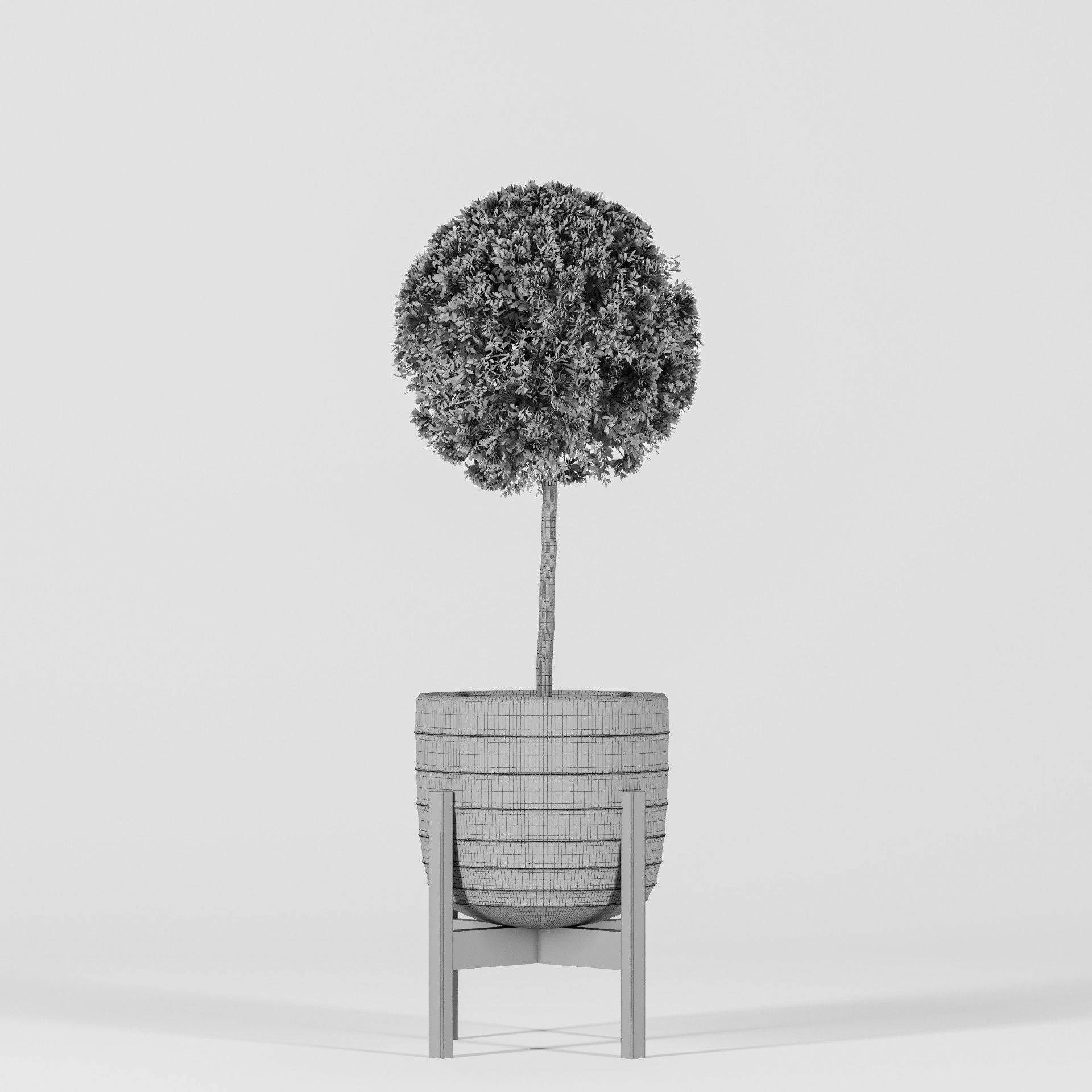 Plant Collection 06 3D model_15