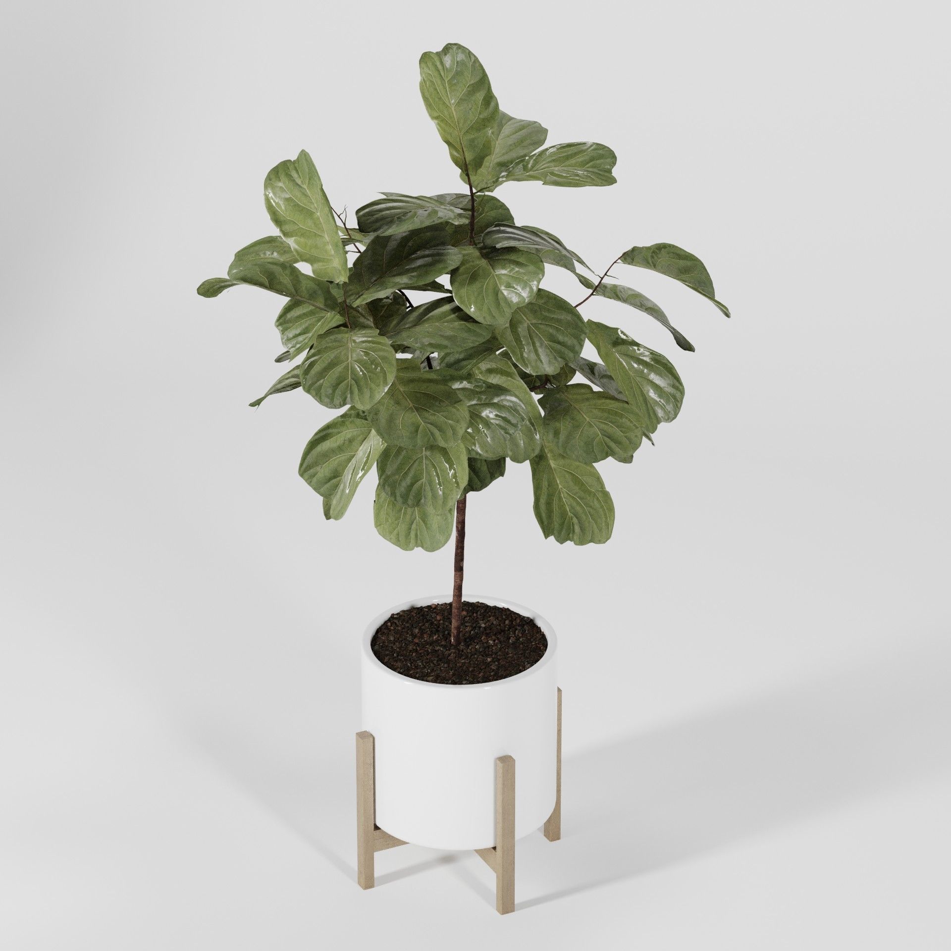 Plant Collection 06 3D model_12