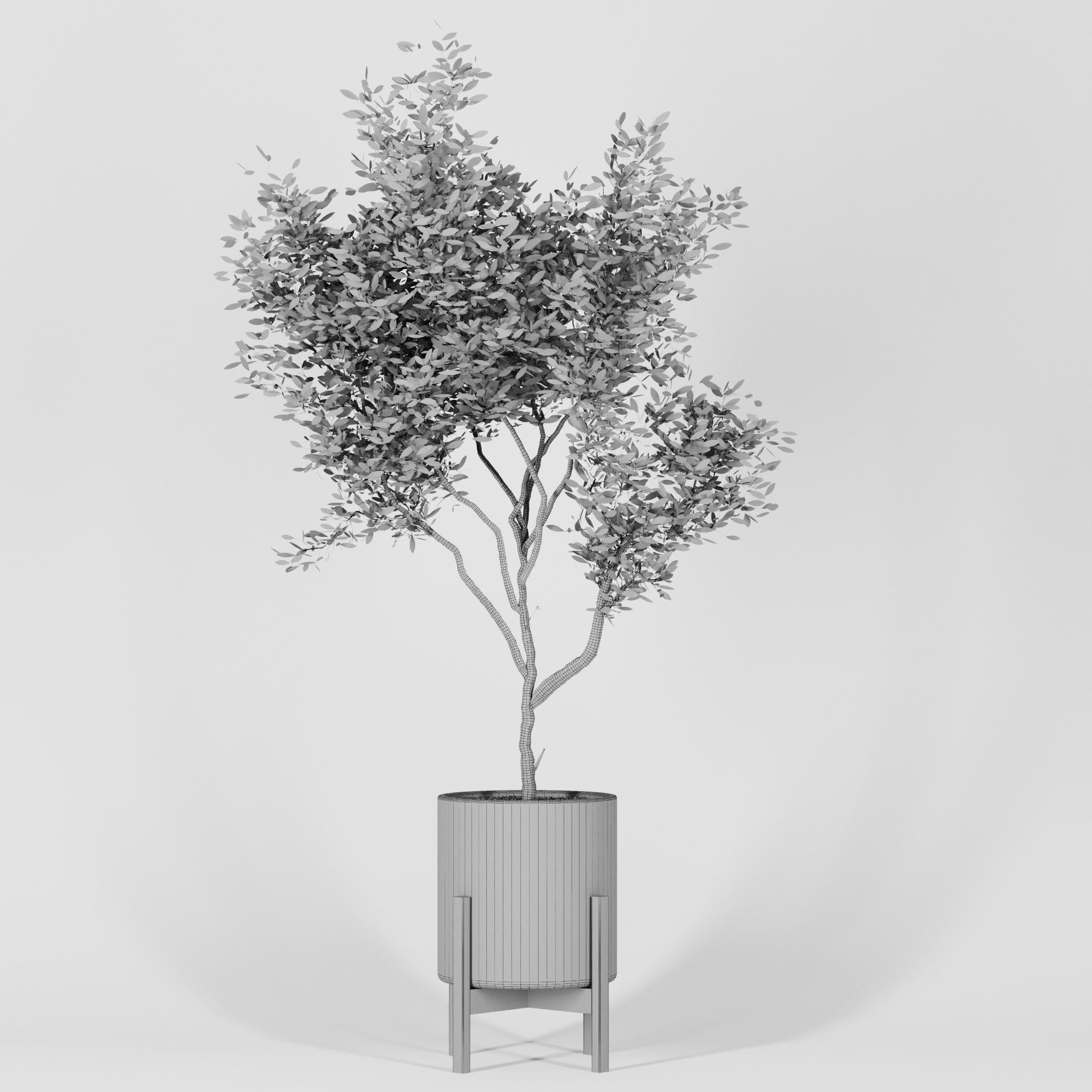 Plant Collection 06 3D model_18