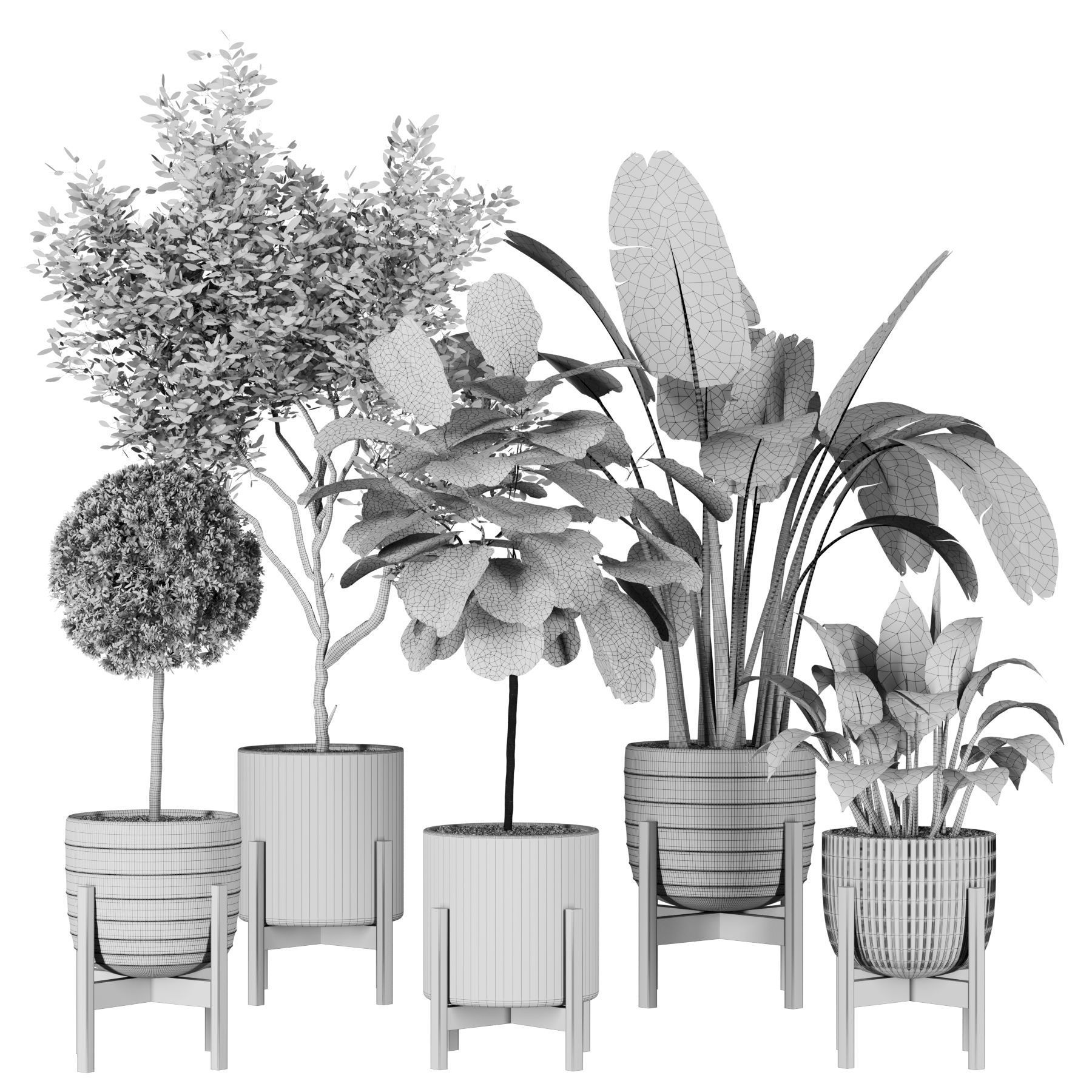Plant Collection 06 3D model_3