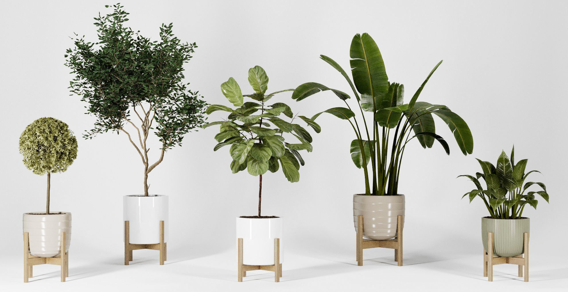 Plant Collection 06 3D model_1