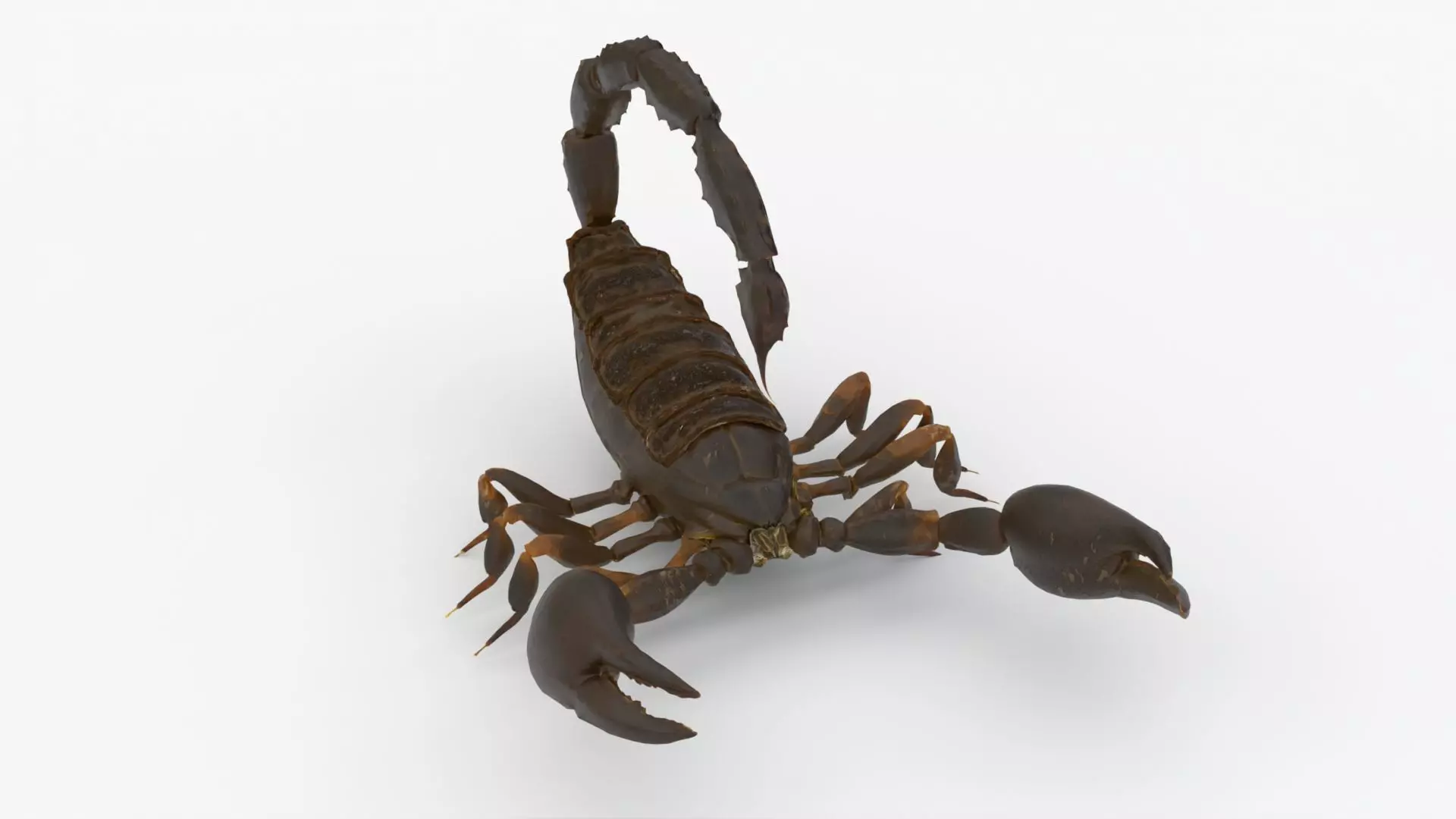 4K Photorealistic Scorpion  3D model_0
