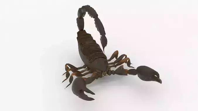 4K Photorealistic Scorpion 