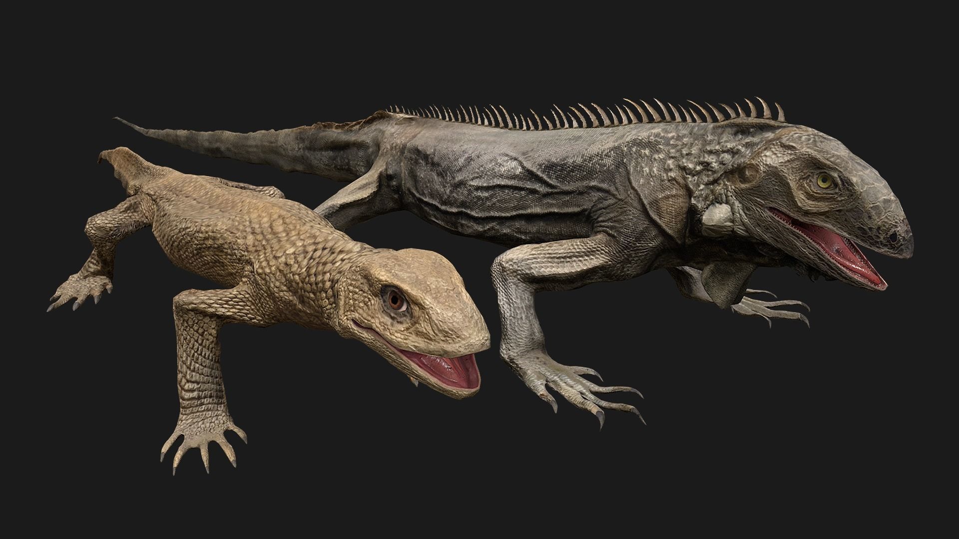 Reptile set  Low-poly 3D model_2