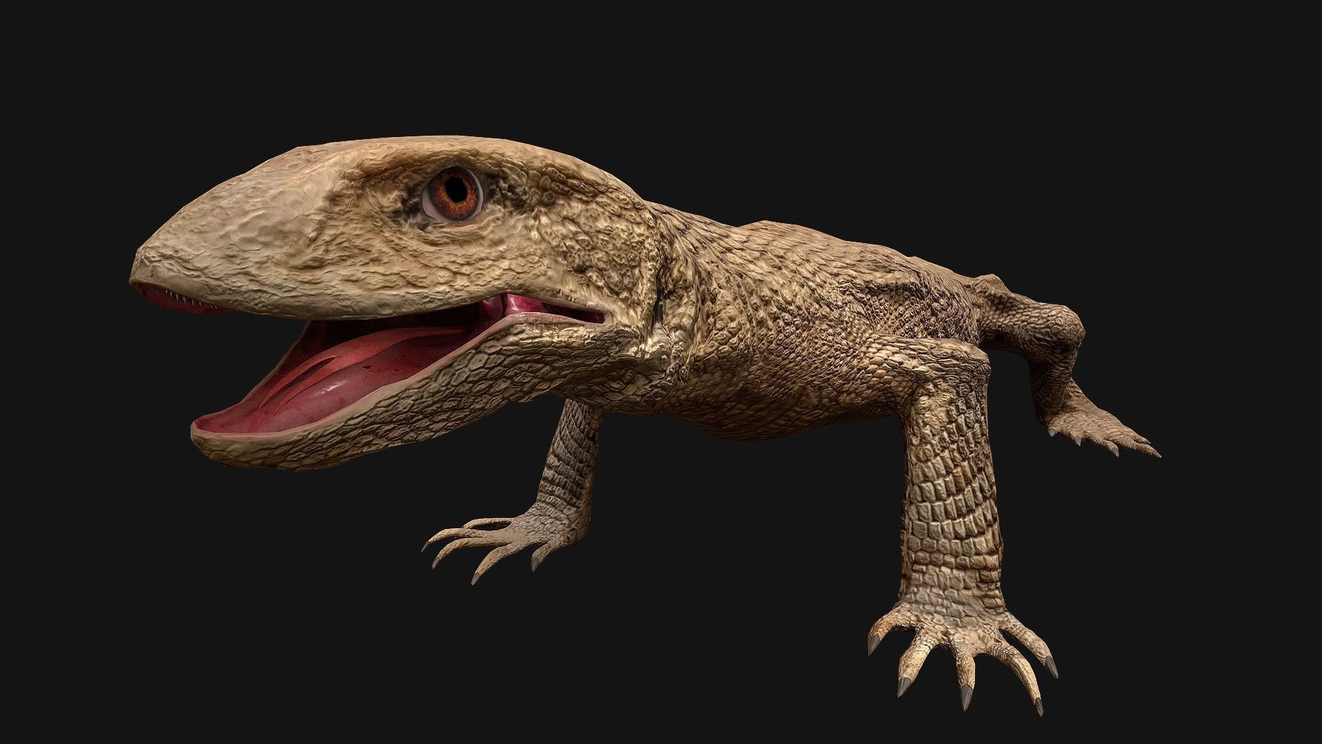 Reptile set  Low-poly 3D model_18
