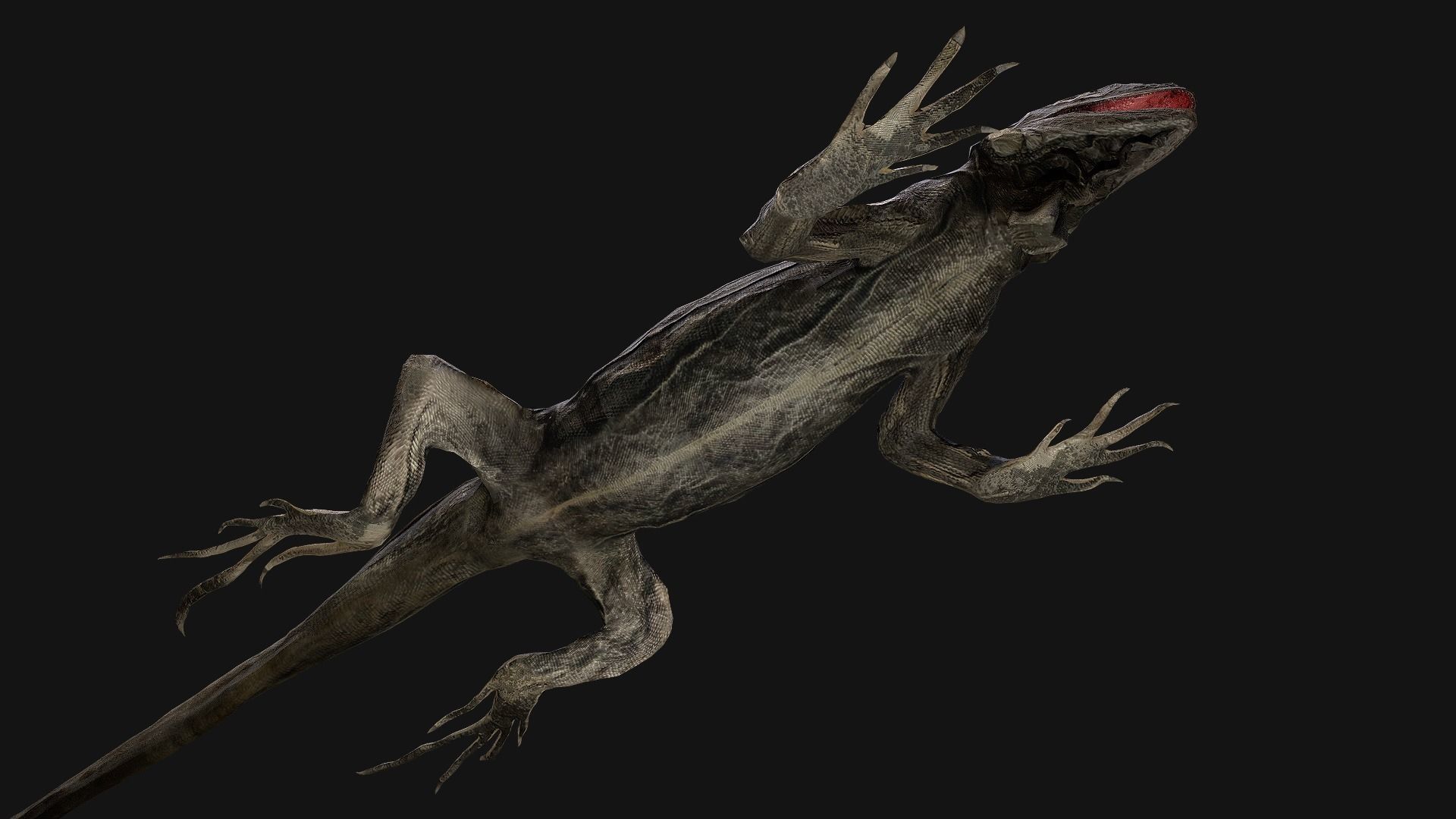 Reptile set  Low-poly 3D model_15