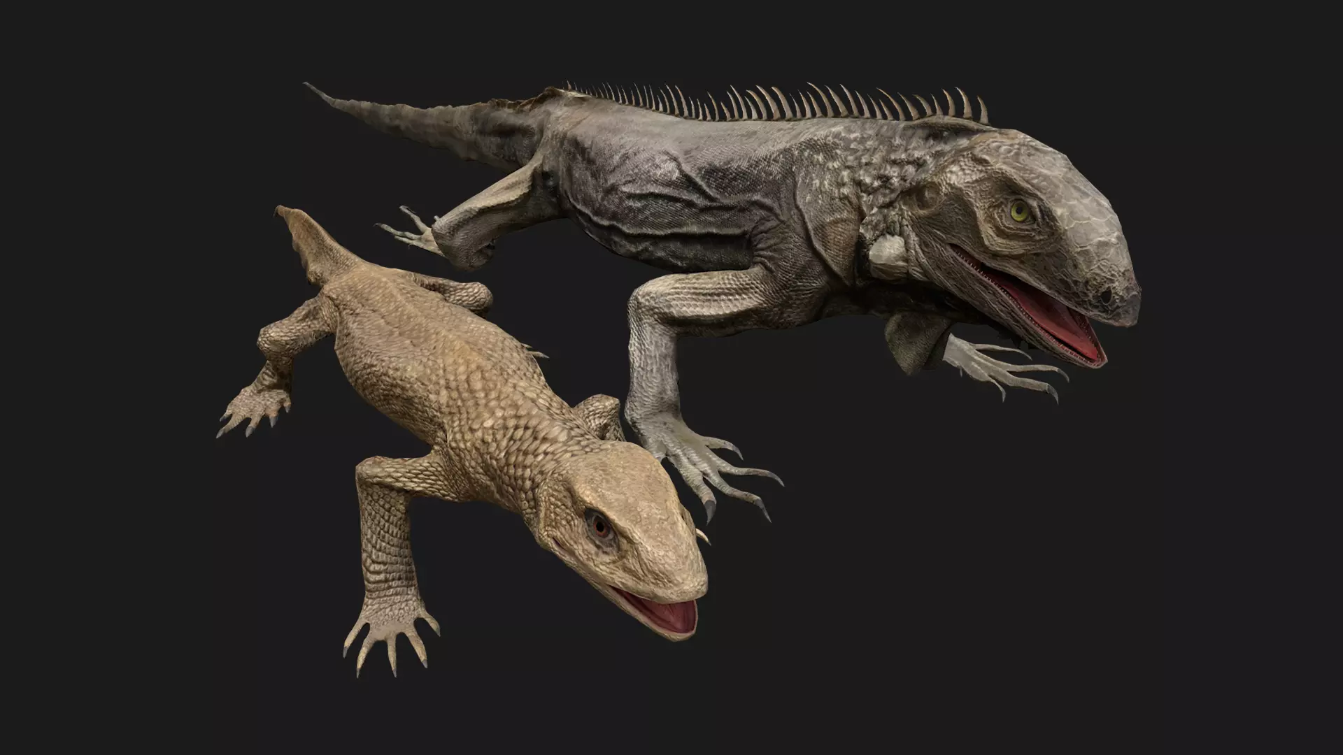 Reptile set  Low-poly 3D model_0