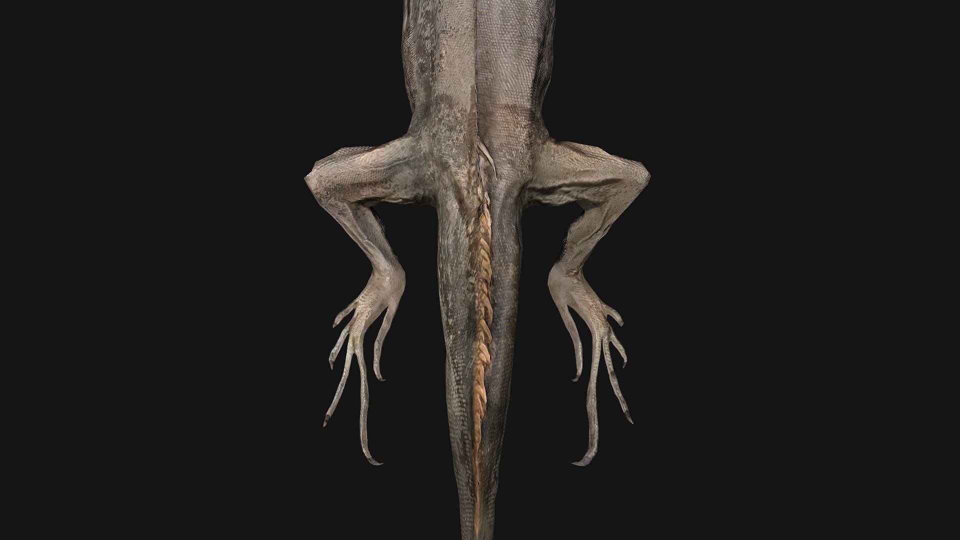 Reptile set  Low-poly 3D model_39