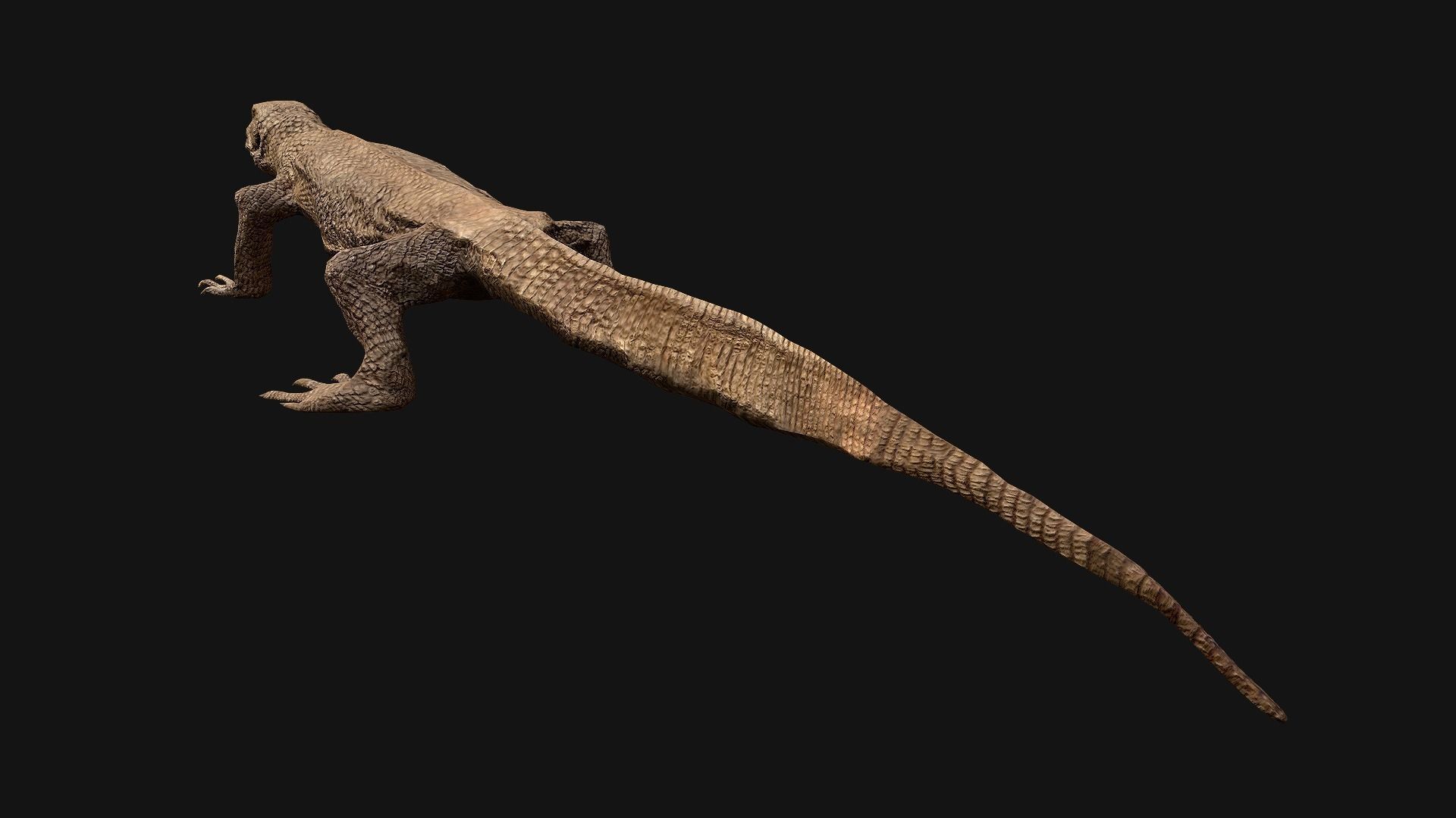 Reptile set  Low-poly 3D model_24