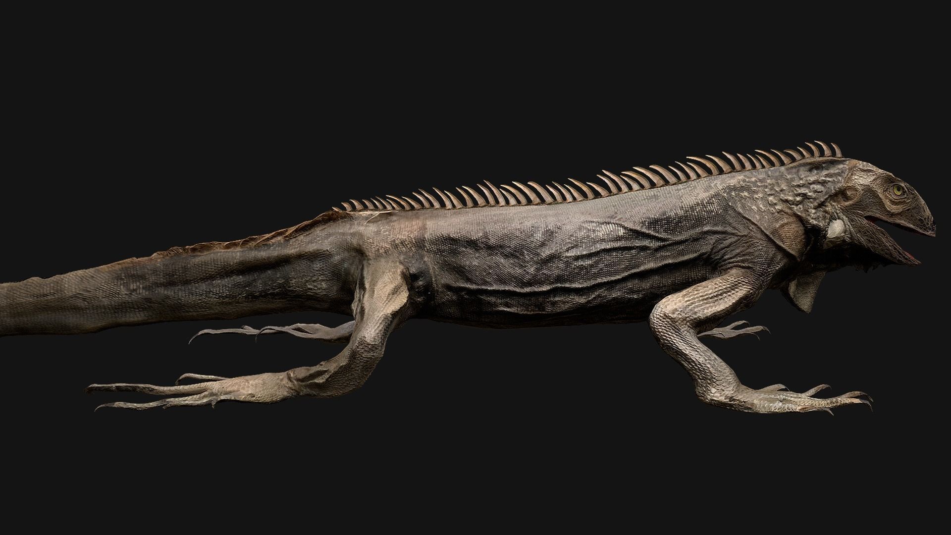 Reptile set  Low-poly 3D model_11