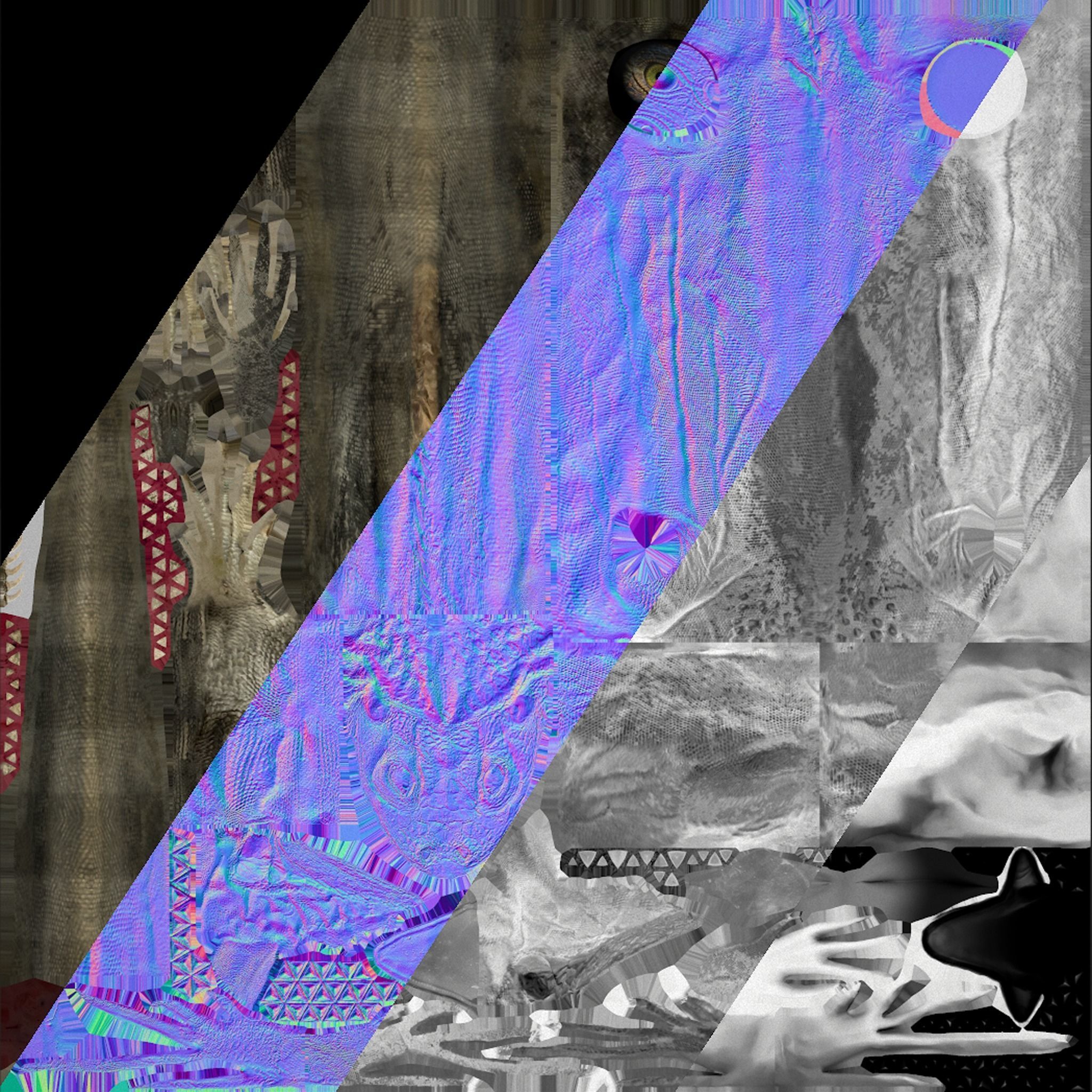 Reptile set  Low-poly 3D model_33